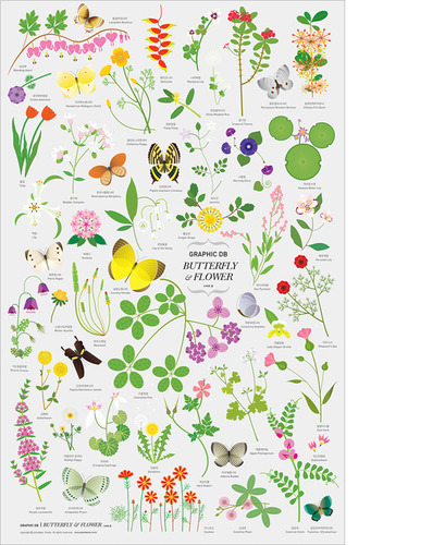 포스터 한국의 꽃과 나비 / gumbook (껌북)
