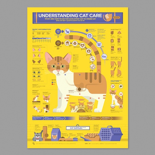 올바른 고양이 돌보기 Understanding Cat Care 인포그래픽 포스터 Infographic Poster 109 스트리트 H 203