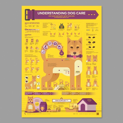올바른 개 돌보기 Understanding Dog Care 인포그래픽 포스터 Infographic Poster 124 스트리트 H 203