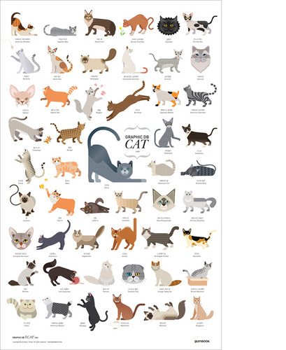 포스터 Graphic DB 고양이 / gumbook (껌북)